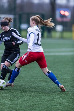 Bild 25 - wBJ HSV - F VfL Jesteburg : Ergebnis: 6:1